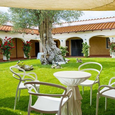 Tenuta Amalthea Villa Sessa Aurunca Eksteriør bilde
