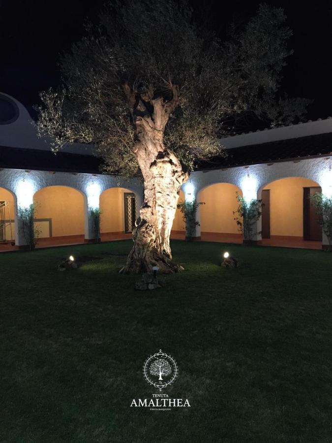 Tenuta Amalthea Villa Sessa Aurunca Eksteriør bilde